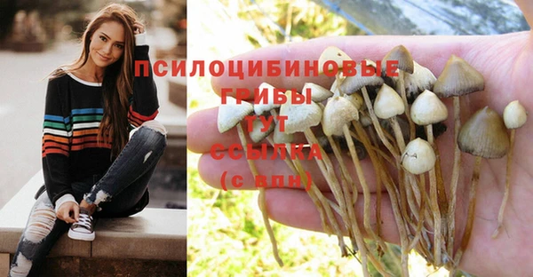 2c-b Абдулино
