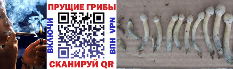 Галлюциногенные грибы прущие грибы Углегорск